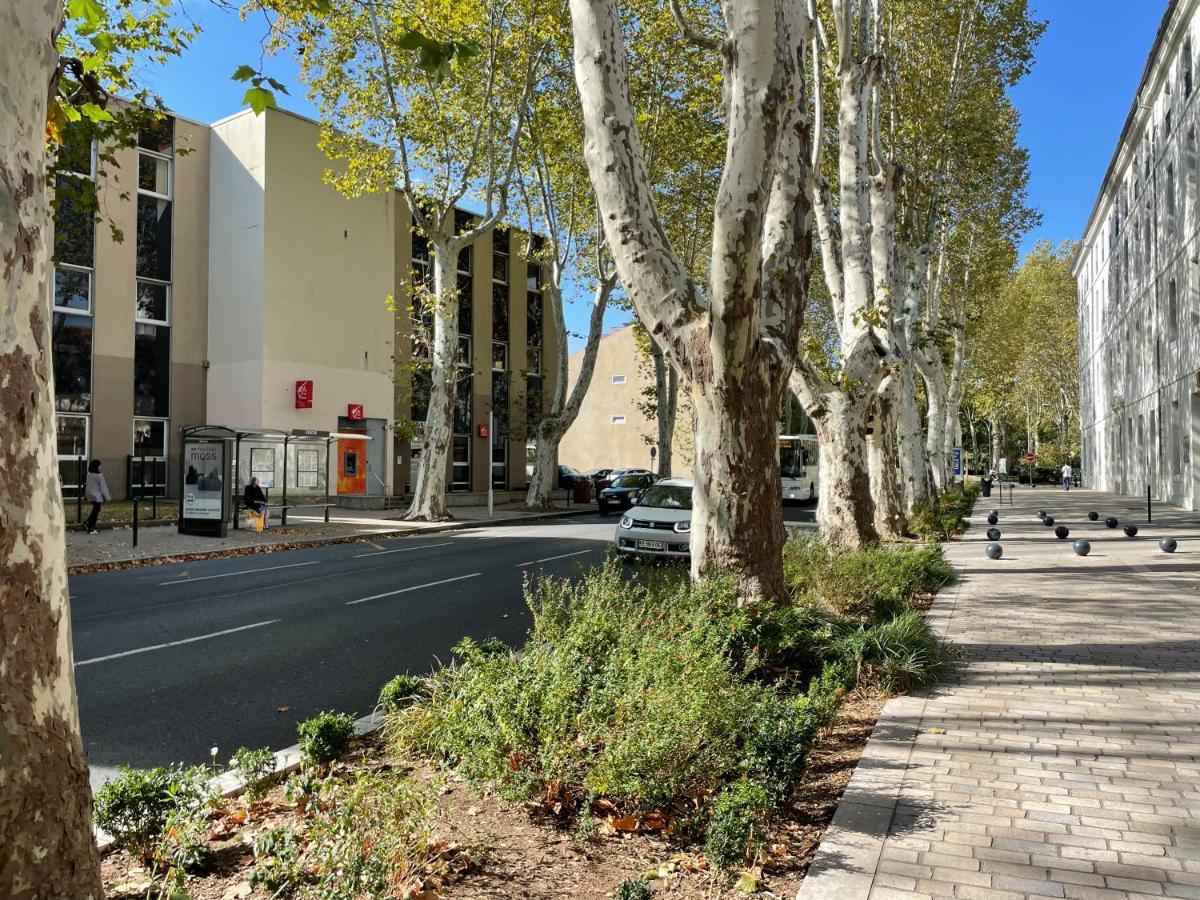 L'eveche - T3 Spacieux & Traversant En Hypercentre * Castres (Tarn)