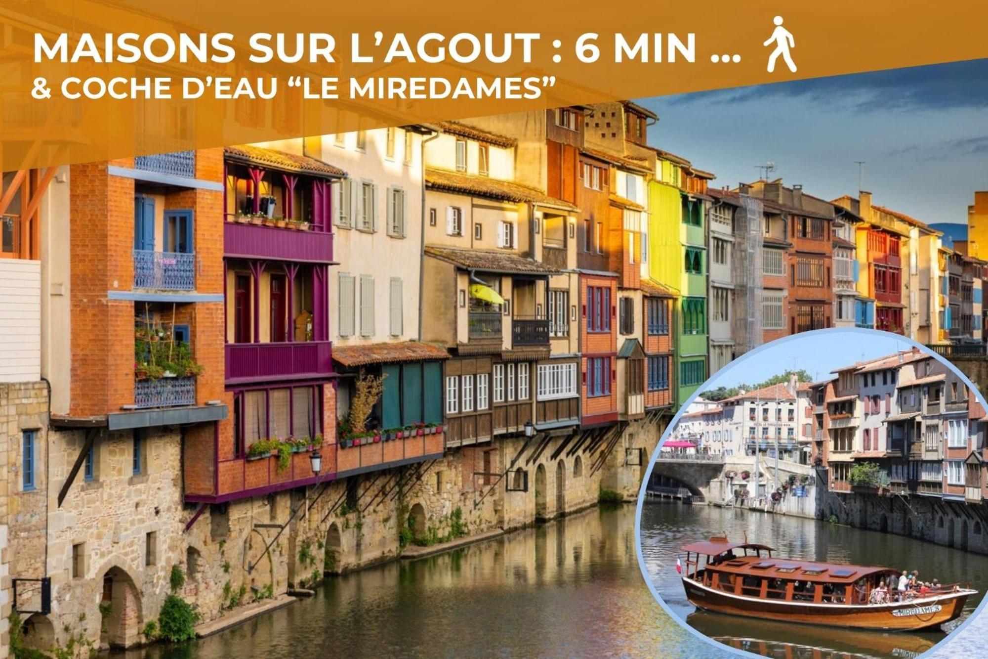 L'eveche - T3 Spacieux & Traversant En Hypercentre *